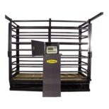 Báscula Ganadera Electromecánica ELECTRO-GANADERA NOVAL