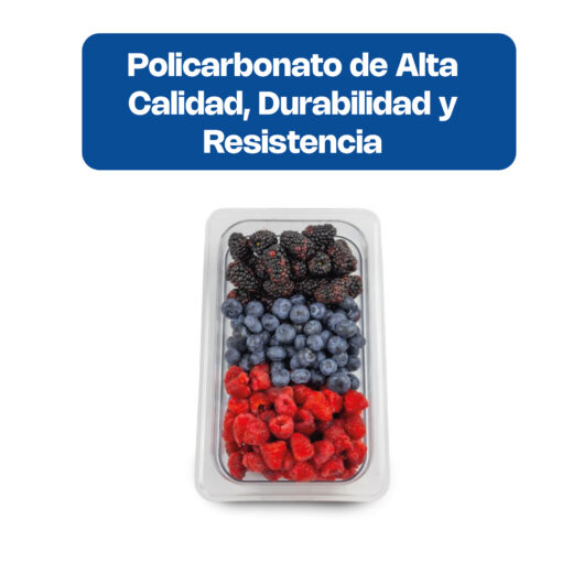 Inserto de Policarbonato Tercio INPOTE-2.5 CALEDONIA - Imagen 2