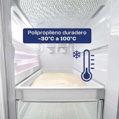 Caja de Polipropileno para masa de pizza CAMAPI-18CH CALEDONIA - Imagen 3