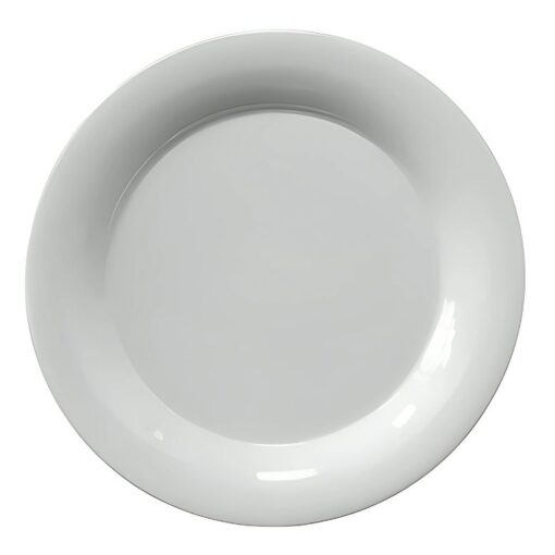 Plato de Melamina Rim Liso Premium Blanco 22.8 x 1.8 cm MCPLMRRP23 CONCASSE