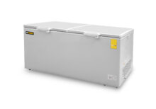 Congelador Horizontal 24 Pies CONGECO-24 RHINO